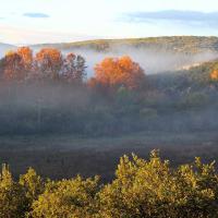 belles couleurs d'automne